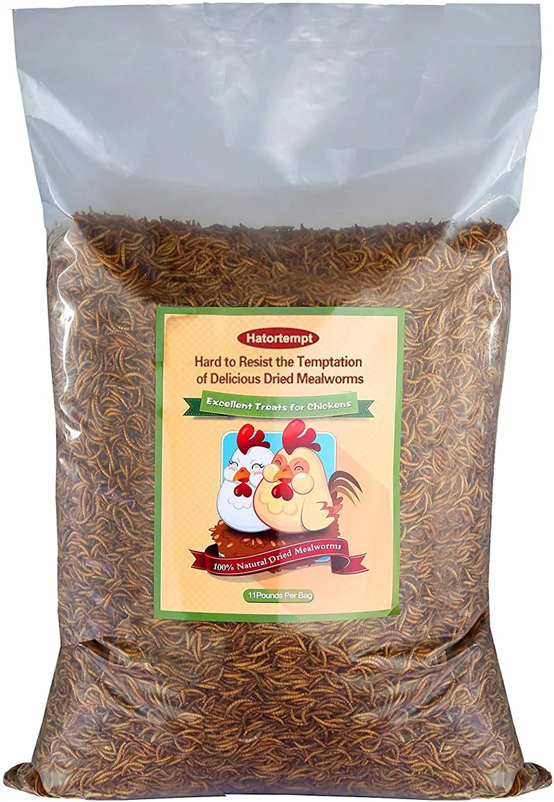 Lombrices secos de 11 libras para reptiles, tortugas, anfibios, lagartos, aves silvestres, chichens, patos, etc.