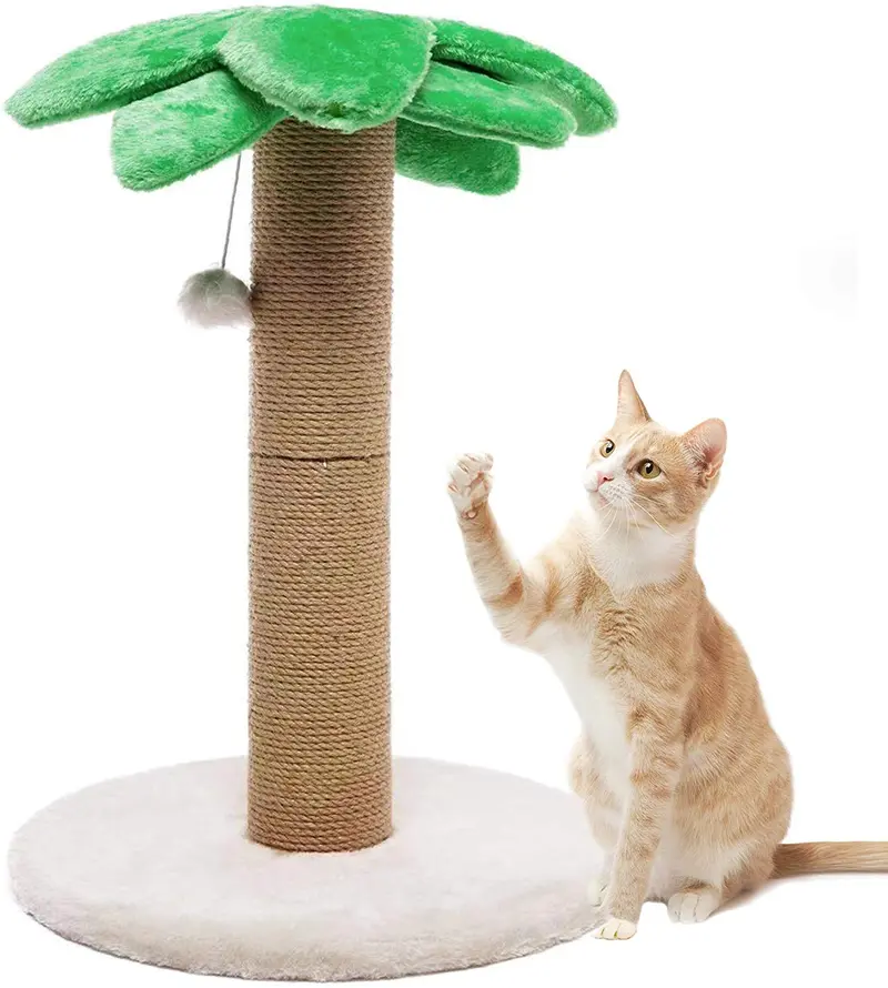 Luckitty - Rascador para gatos y gatitos con postes de coco
