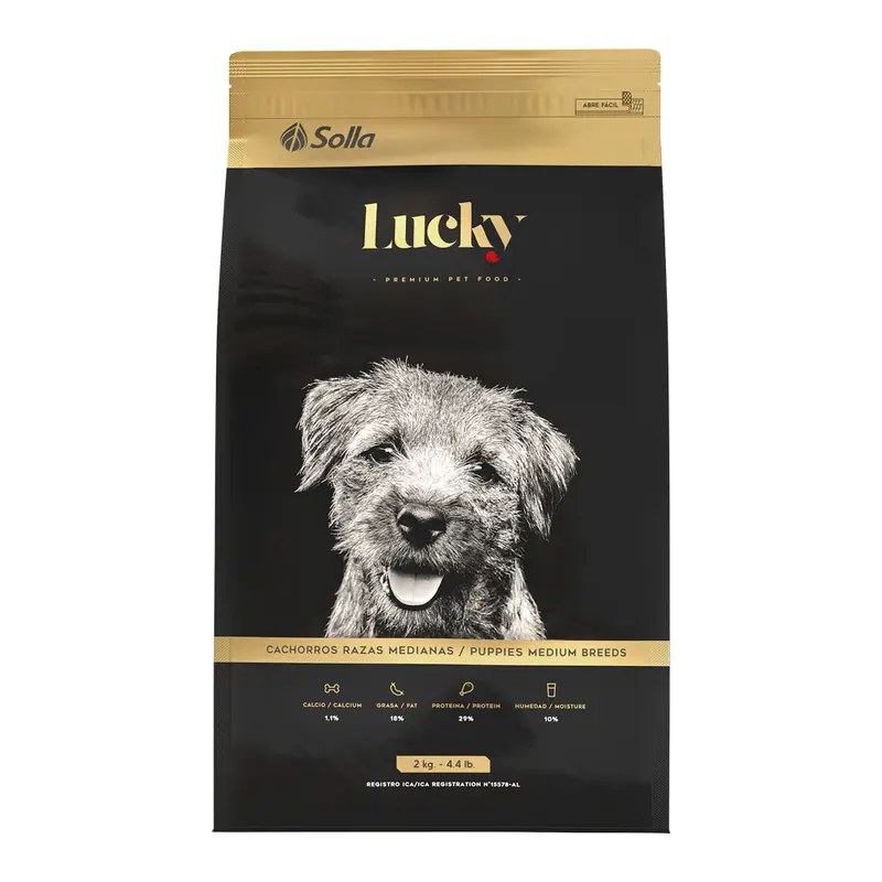 Lucky Cachorros Raza Mediana