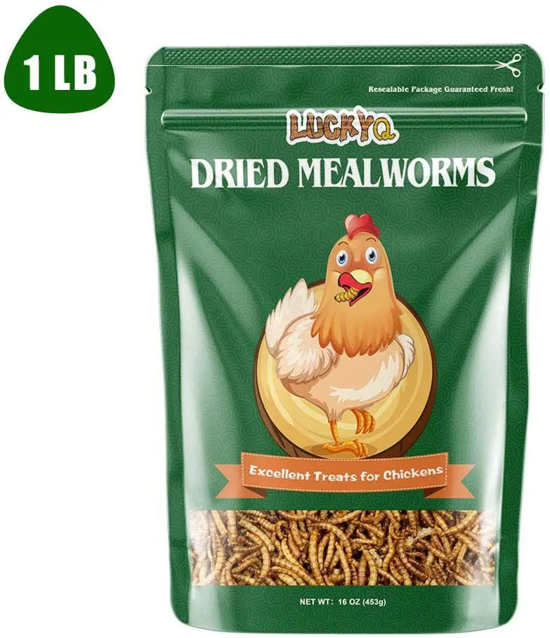 LUCKYQ lombrices de comidas secas, gusanos de harina a granel de alta proteína, 100 % sin OMG para aves, pollos, tortugas, pescado, hámsters y erizos, alimento natural para animales