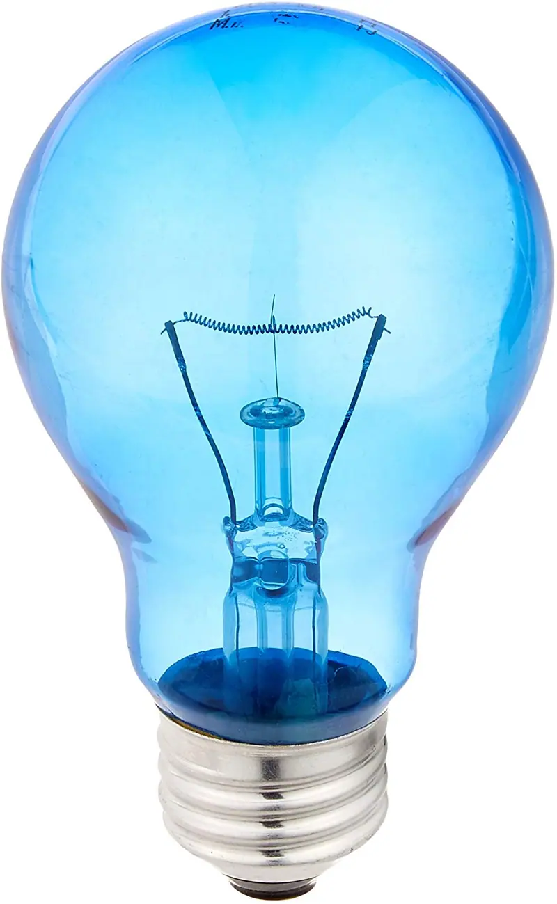 Luz azul Reptil foco (100 W)