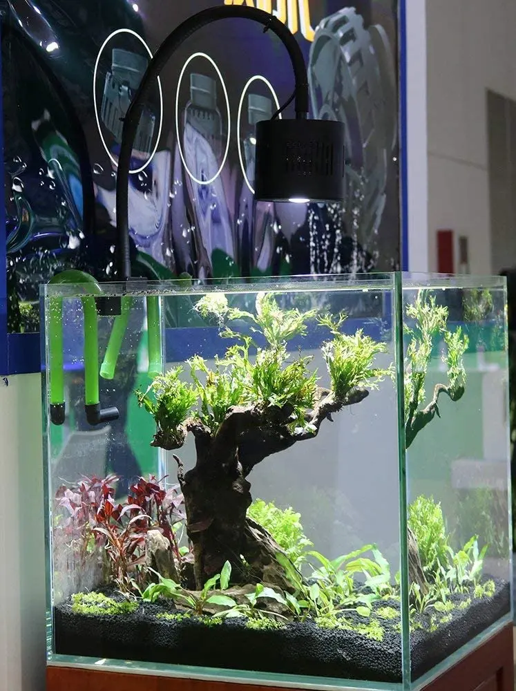 Luz LED de acuario para agua salada, agua dulce, tanque plantado, abrazadera de luces para arrecife de coral, tanque de peces, con cuello de cisne