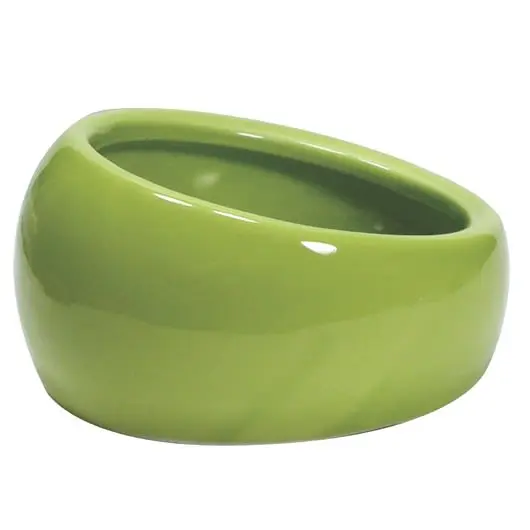 LW Comedero Ergonomico Large Verde