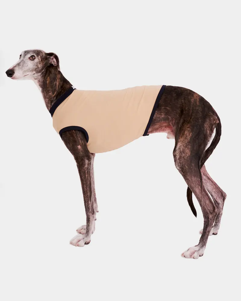 LYCRA BEIGE - GALGO