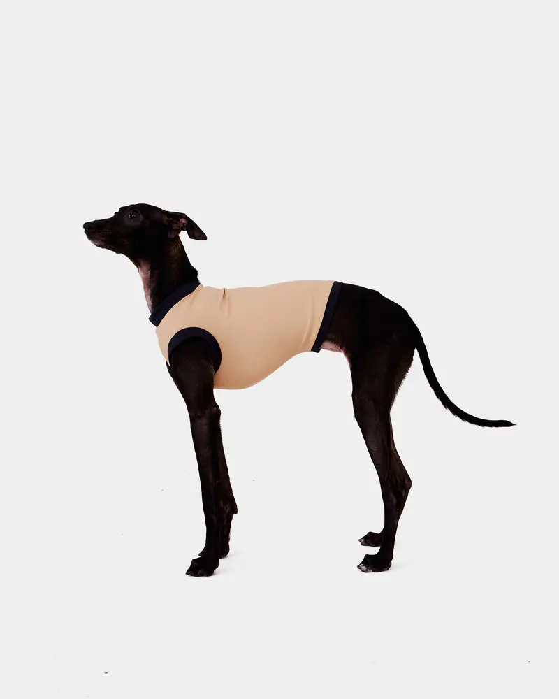LYCRA BEIGE - IGGY