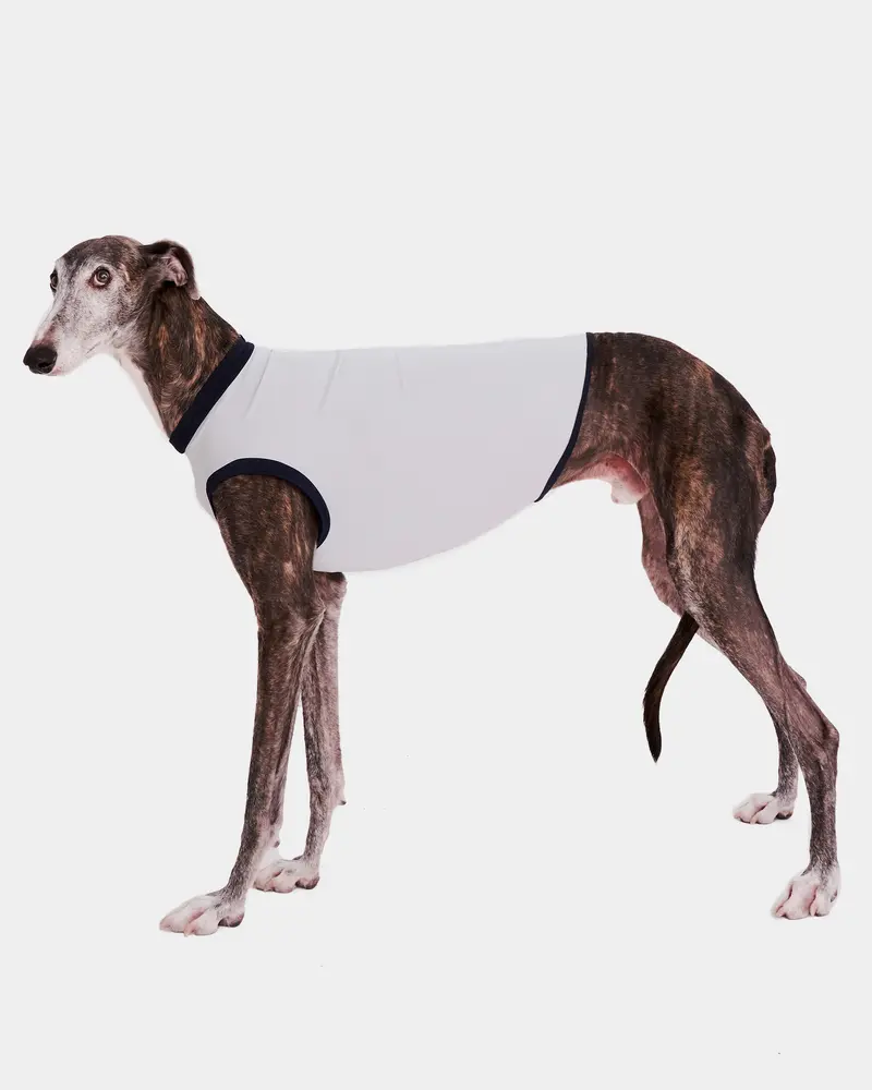 LYCRA GRIS - GALGO