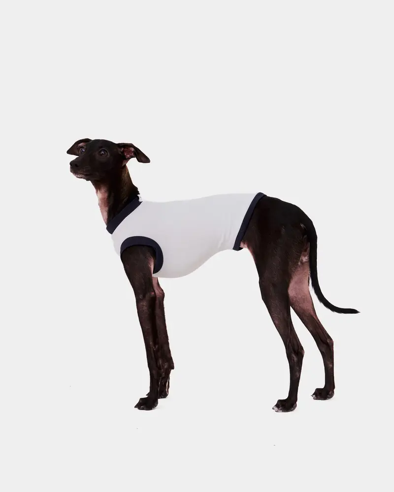 LYCRA GRIS - IGGY