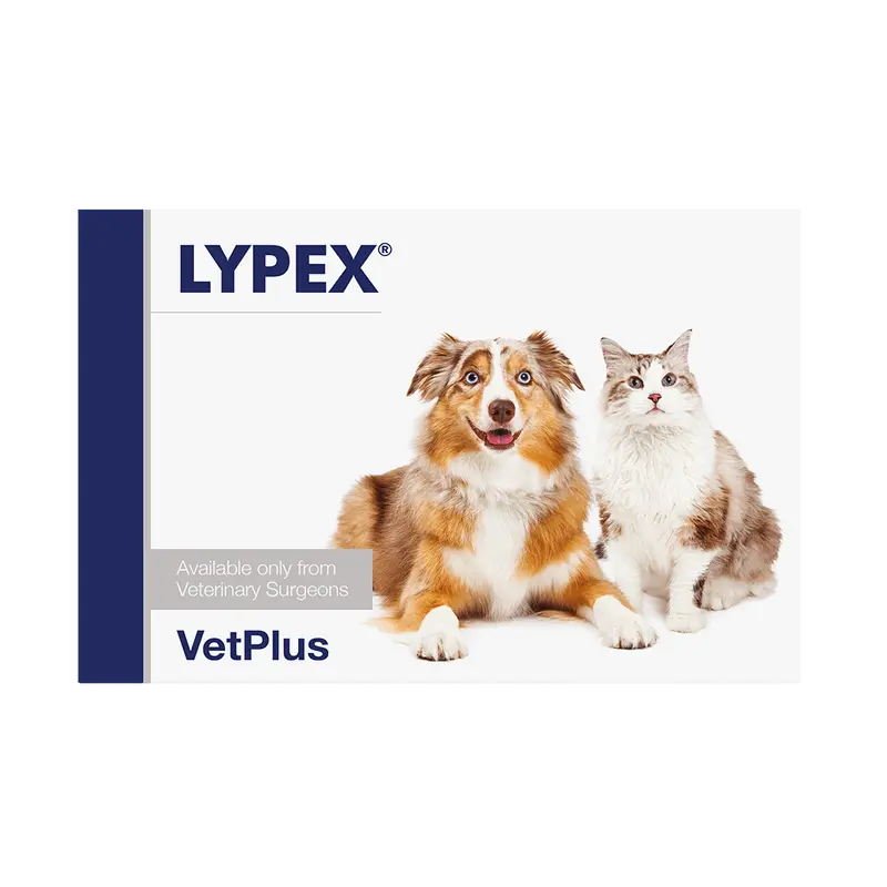 Lypex 60 Cápsulas – Enzimas Pancreáticas para Perros y Gatos con IPEX | VetPlus