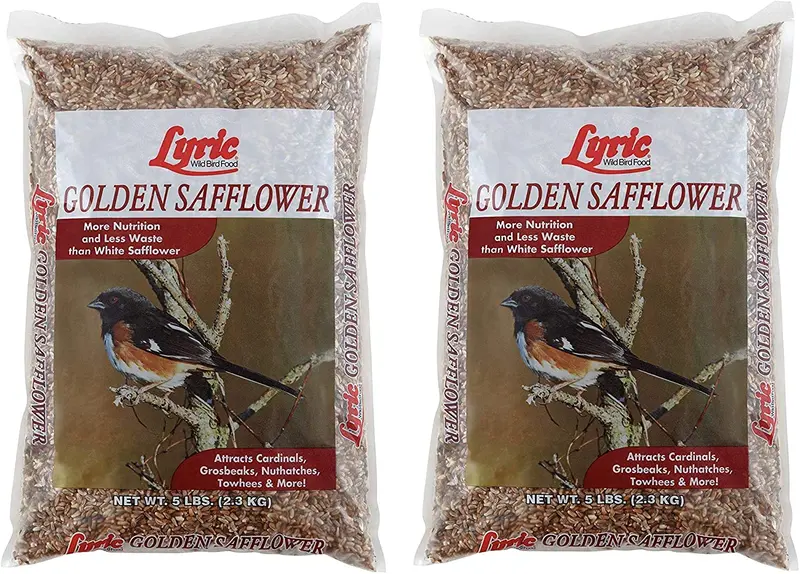 Lyric 2647444 Semilla de cárter dorada, 5 lb