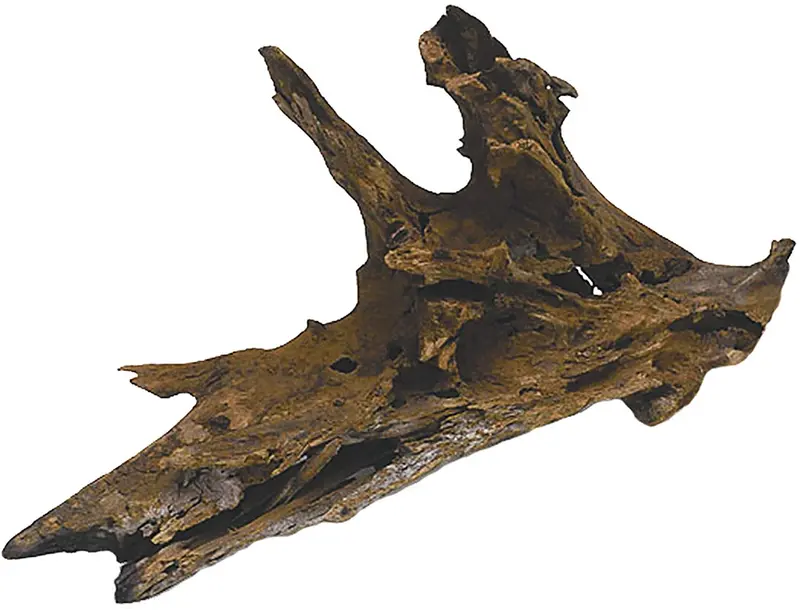 Madera flotante de Malasia para reptiles, marca Zilla, M