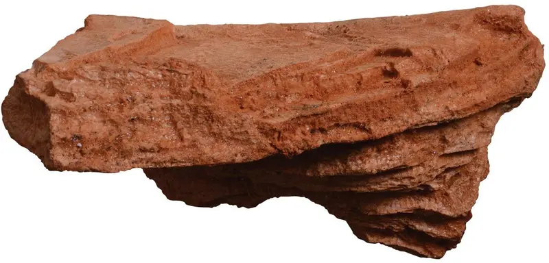 magnaturals 37090 Mushroom Ledge, grandes