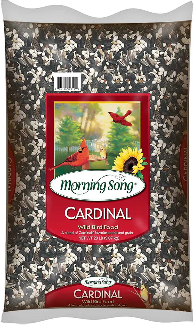 Mañana canción Cardinal Alimentos