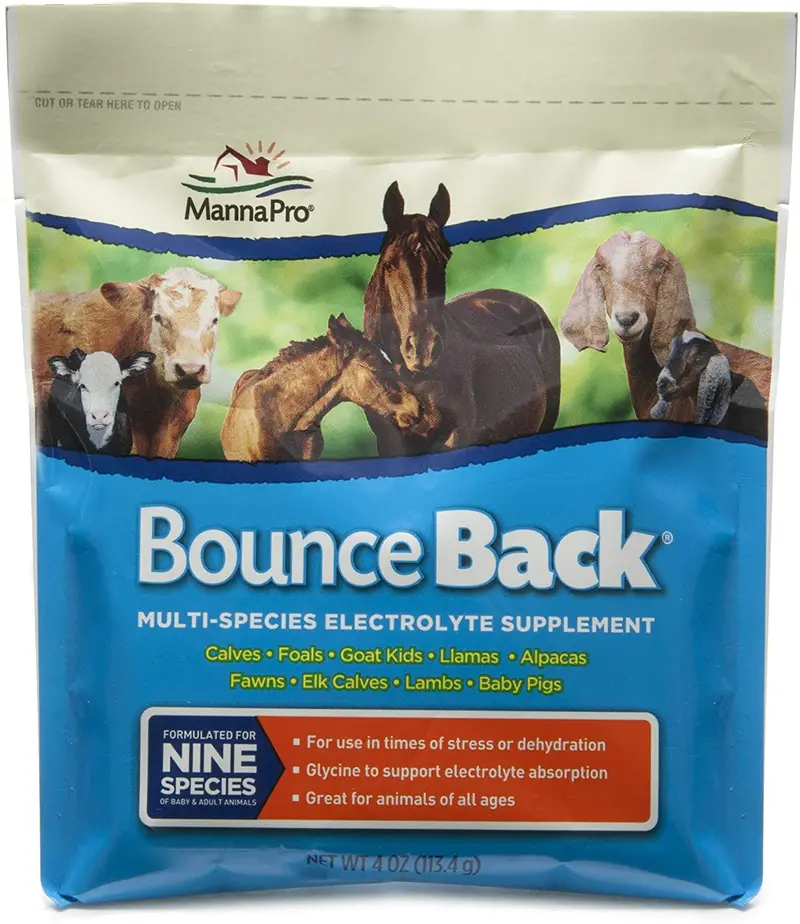 Manna Pro Bounce Back Multiespecies Suplemento electrolito