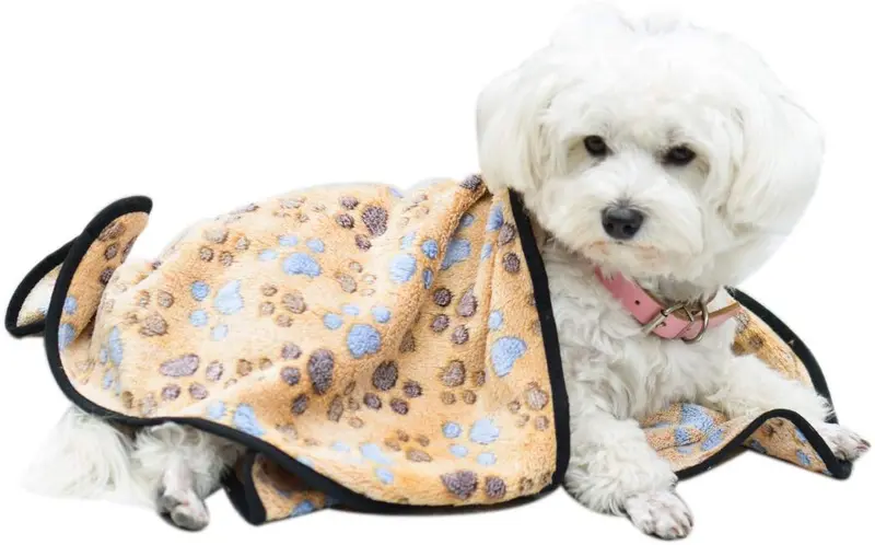 Manta para gatos y perros pequeños de Expawlorer Pet