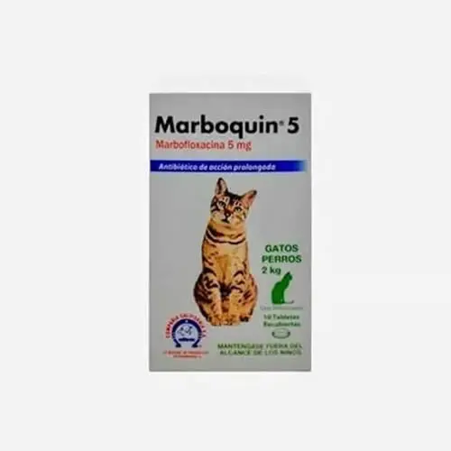MARBOQUIN 5 MG TARRO X 10 TAB.