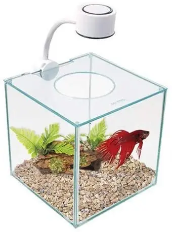 Marina CUBUS - Kit de cristal para Betta