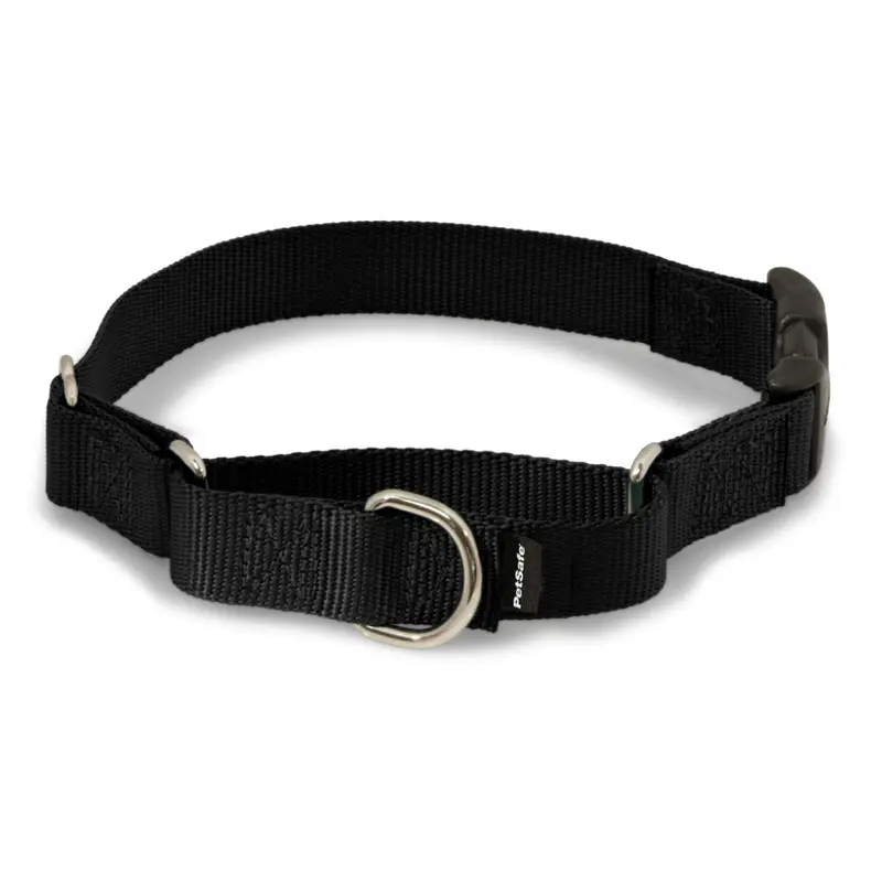Martingale Premier Collar con Hebilla de Liberación color Negro
