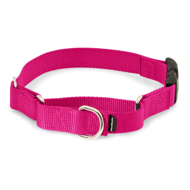 Martingale Premier Collar con Hebilla de Liberación color Rosa