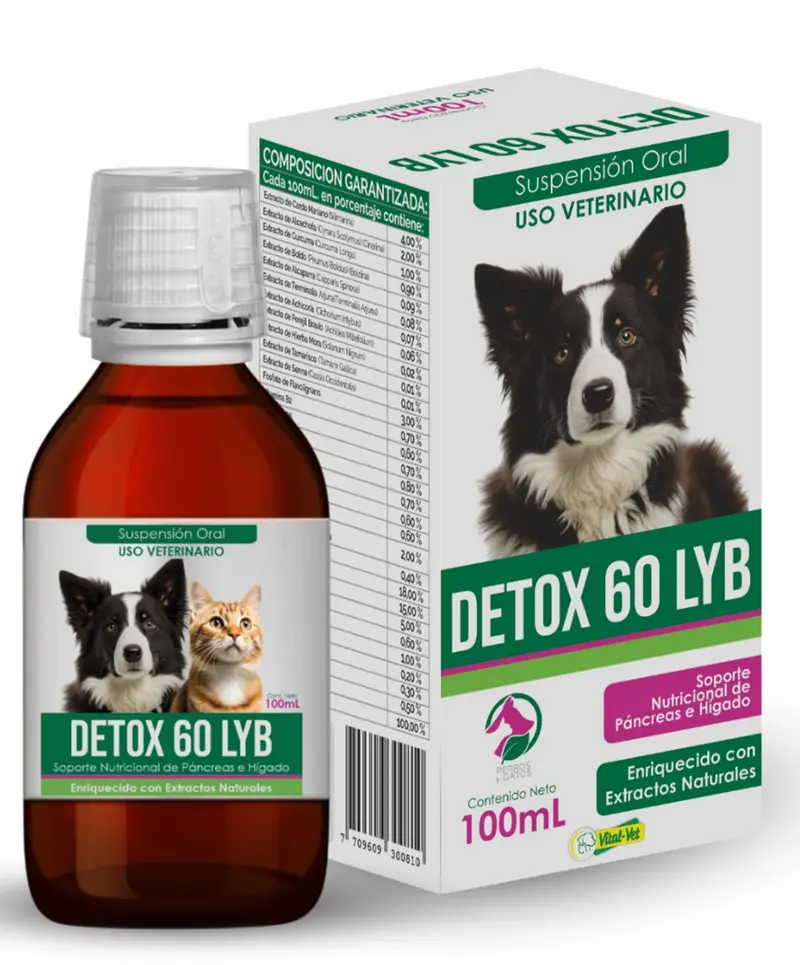 Medicamento Detox 60 LYB suspension 100ml