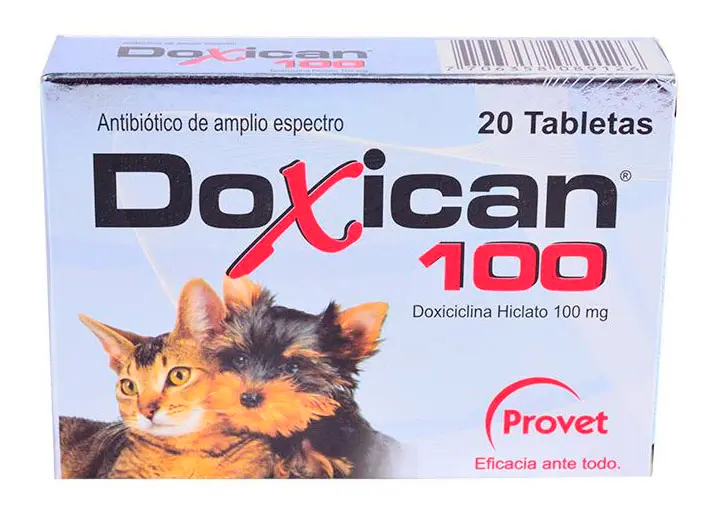 Medicamento Para Perro Y Gato Doxican 100