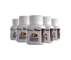Medicamento Para Perro Y Gato Moloc Flexi Plus X 60 Tab