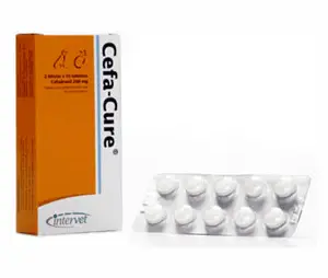 Medicamento Perro Y Gato Cefa - Cure Caja X 20 Tab