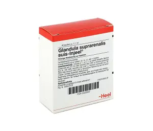 Medicamento Perro Y Gato Gland Suprarenalis Suis Amp 1.1 Ml