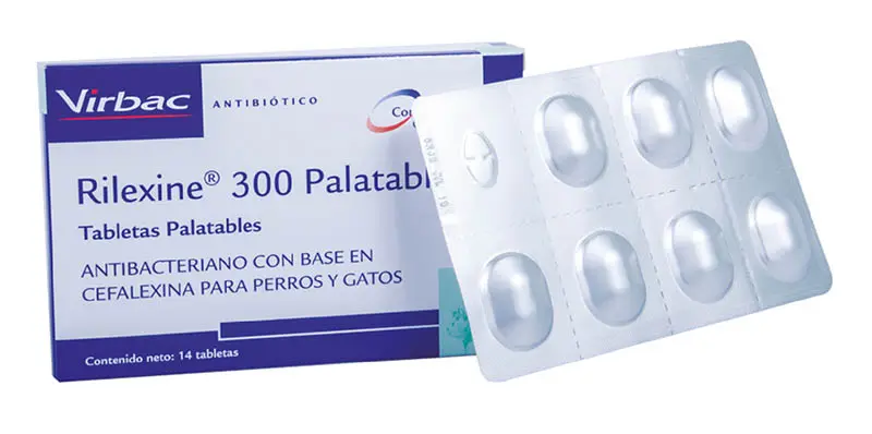 Medicamento Perro Y Gato Rilexine 300 X 14 Tab
