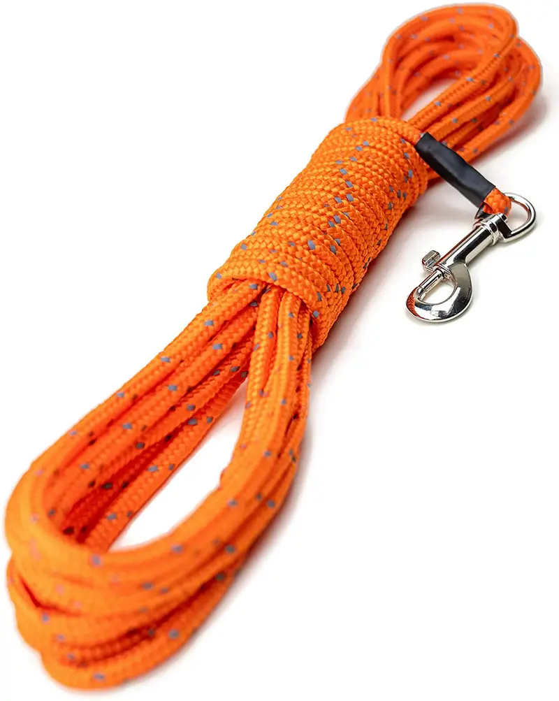 Mighty Paw Check Cord | Light Weight 30 Foot Dog Training Leash. Durable, Weather Resistant Climbers’ Rope with Reflective Stitching. Perfect for Training, Swimming, Hunting, Camping. (Orange)