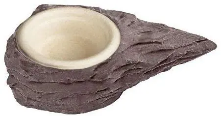 Mini Magnético Gecko alimentador Ledge