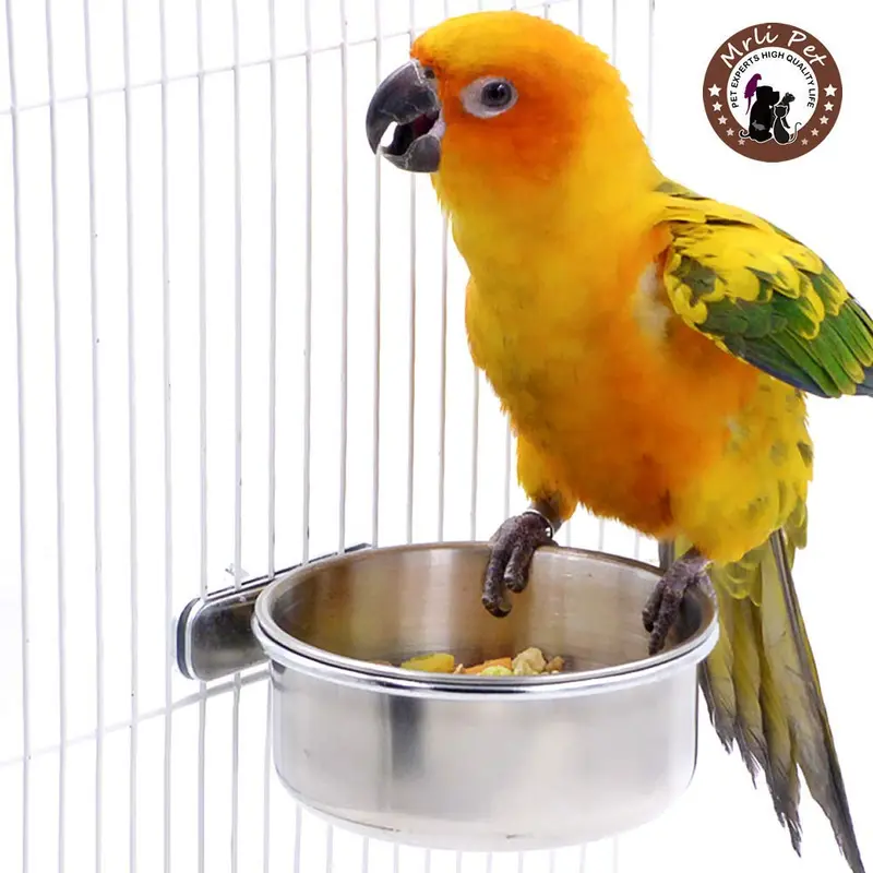 Mrli - Comedero de acero inoxidable para pájaros y aves de agua con soporte de abrazadera, para loro, guacamayo, paracaidismo, cacatúas, cacatúas, pájaros, pinzones, jaulas de animales pequeños