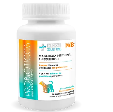 MS Probióticos 60 Tabletas Masticables (Perros - Gatos )