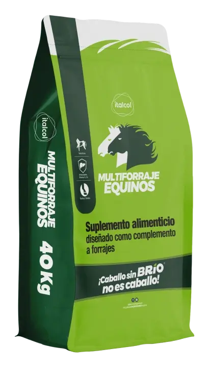 MULTIFORRAJE EQUINOS H