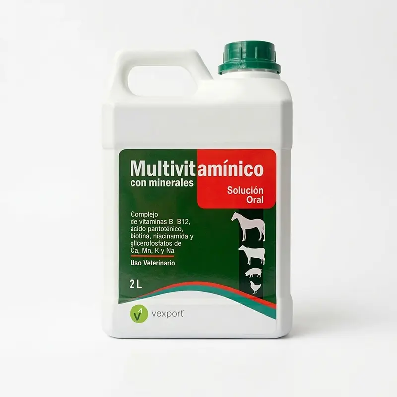 Multivitaminico con minerales 2000 ml
