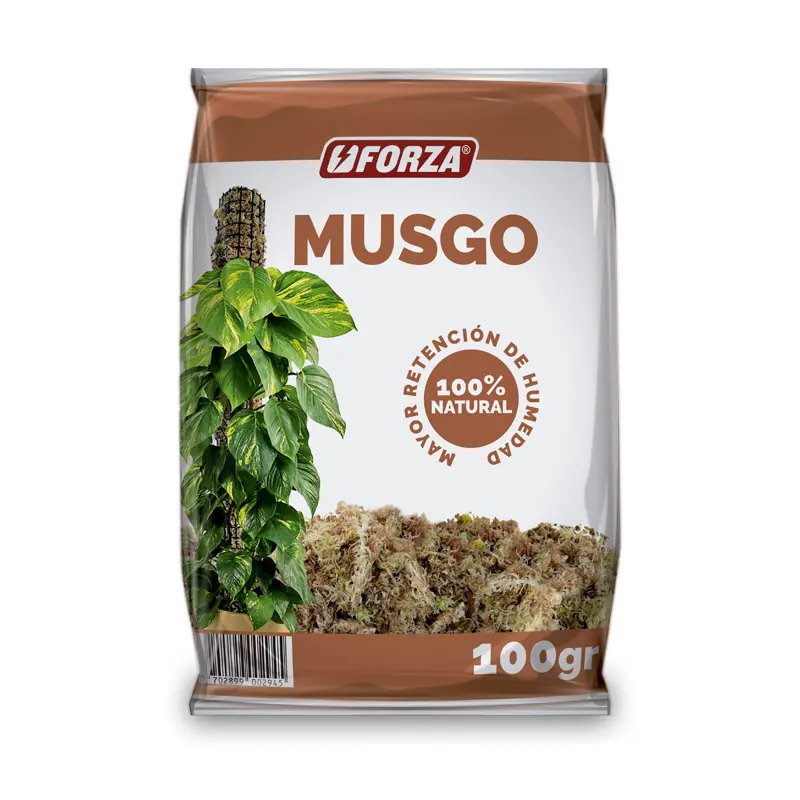Musgo x 100 g