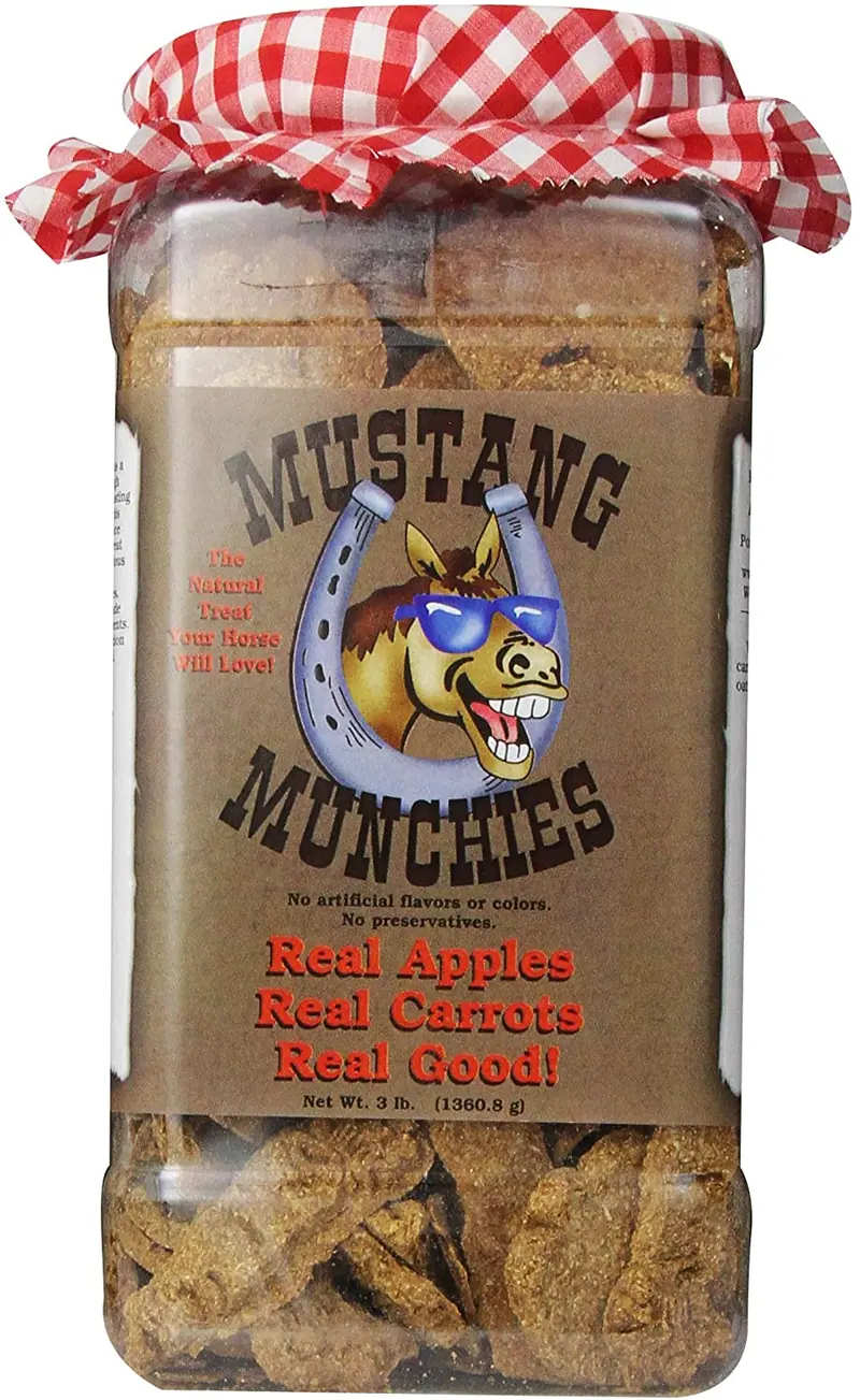 Mustang Munchies recipiente de plástico (Equino Pet Treats, 3-Pound