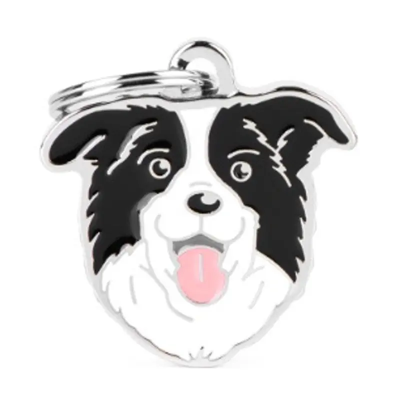 Myfamily Border Collie
