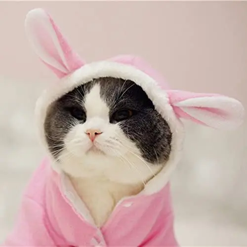nacoco perro disfraz de conejo mascota perrito sudaderas con capucha ropa Escudo conejo Otoño Invierno Halloween para pequeño de perro y gato