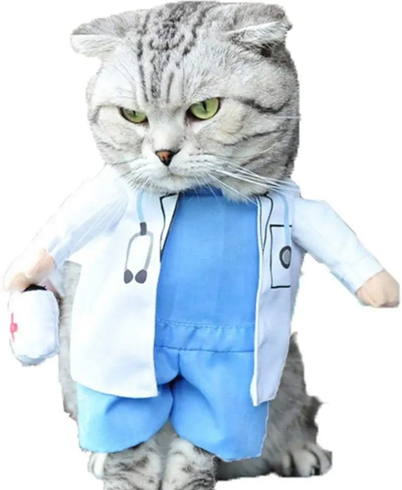 nacoco perro gato ropa Halloween vaqueros Doctor disfraz mascota Apparel