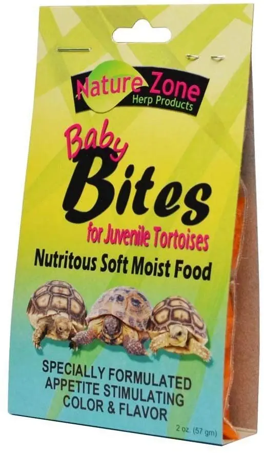 Naturaleza Zona Juvenile tortuga Bites por naturaleza zona