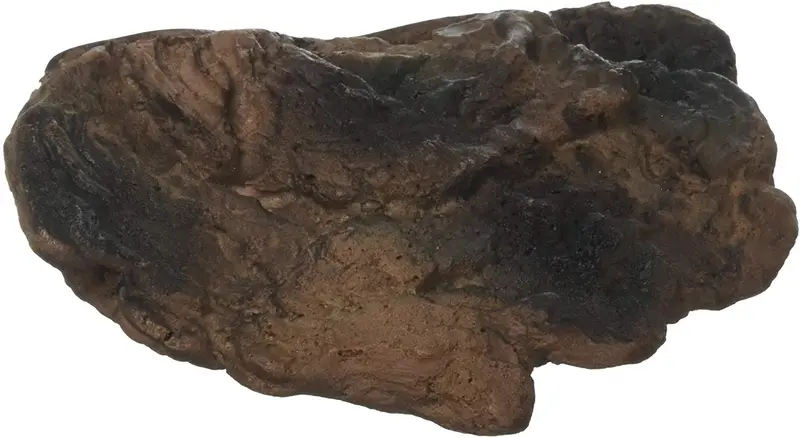Naturalista terrario Mushroom Ledge