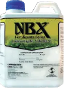 Nbx