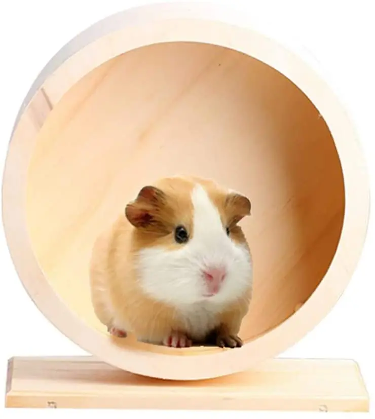 NEWCOMDIGI - Juguete de madera para hámster, mascotas, gerbiles, chinchillas y erizos