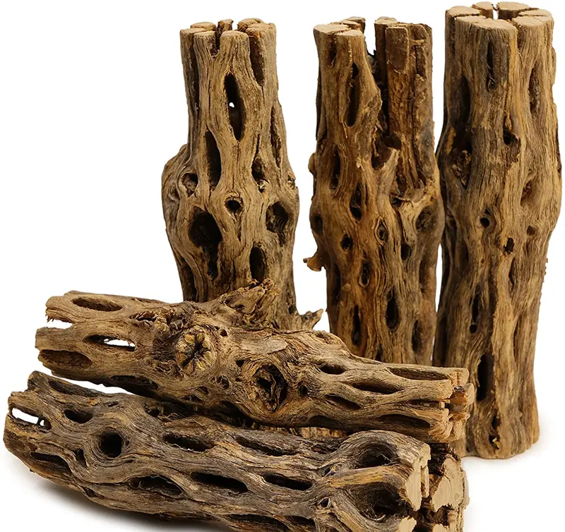 NilocG Aquatics - 5 piezas de madera de cholla natural de 5 pulgadas de largo para decoración de acuario, Versión original.