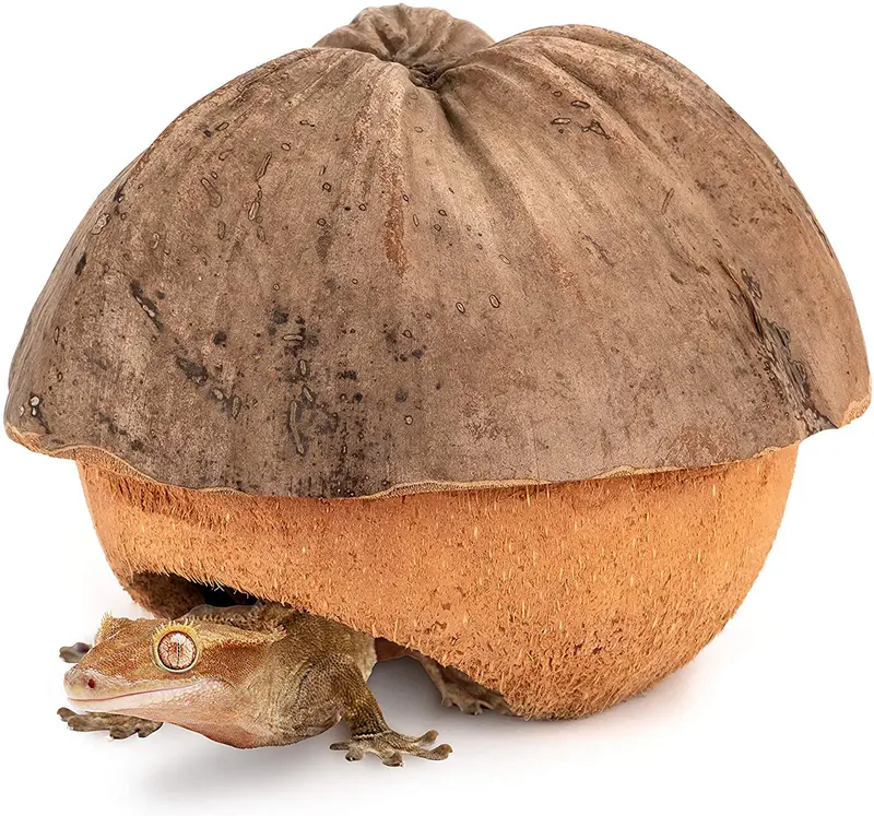 Niteangel - Cueva de coco para ocultar y aliviar el estrés y la decoración del hábitat
