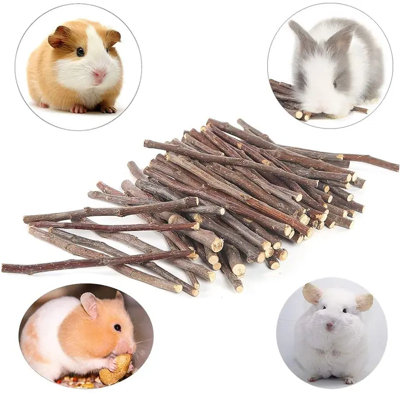 Niteangel - Palos para chinchilla, cobayas, hámsters, conejos, loros y otros animales pequeños
