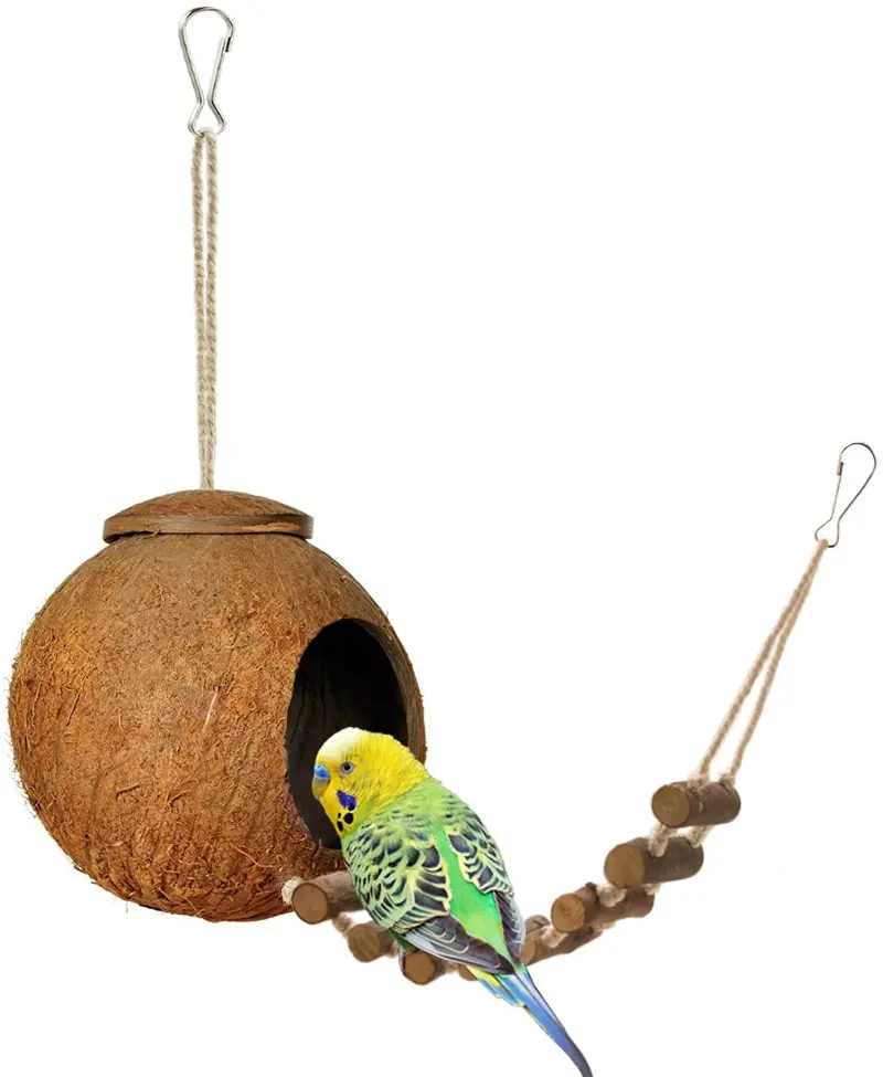 Niteangel - Peluche de coco 100% natural con escalera, pájaro y animal pequeño