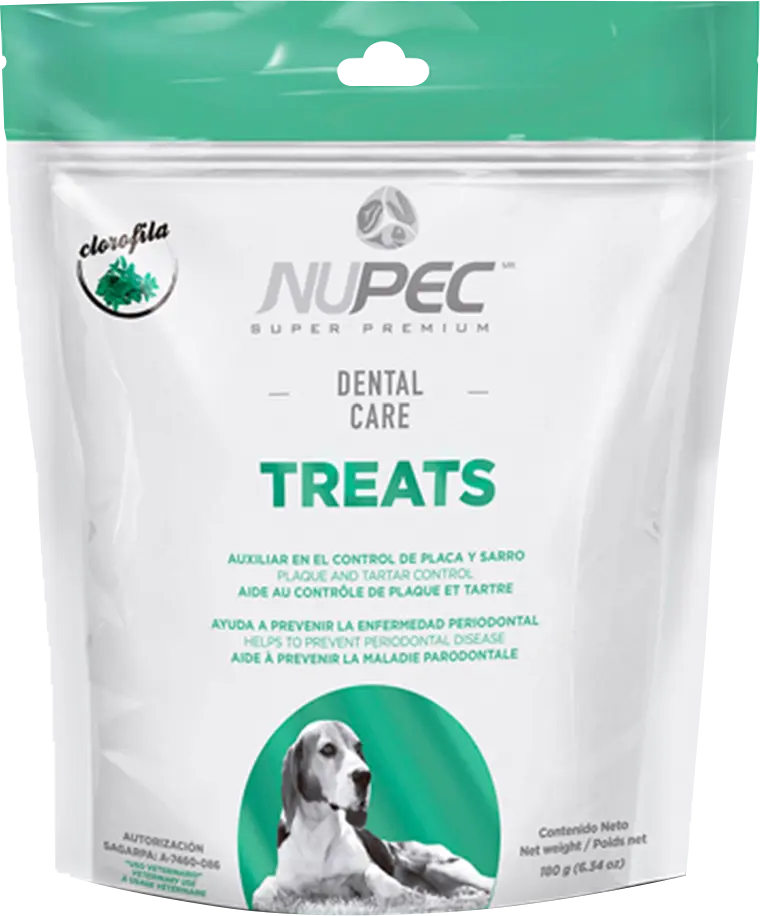 NUPEC DENTAL CARE X 180 GR