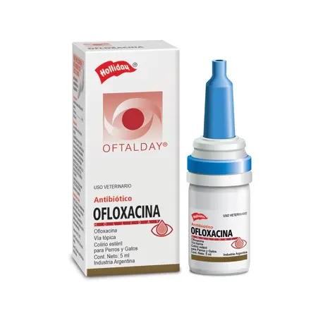 Ofloxacina Oftalday 5 mL