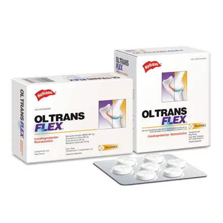 Ol trans flex palatable 70 tabletas ( condroprotector )